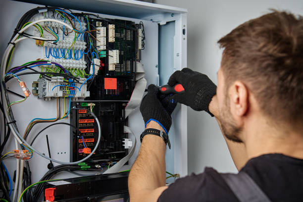 Licensed Electrical Panel Upgrade service in Lake Catherine, IL - No Joke electrician